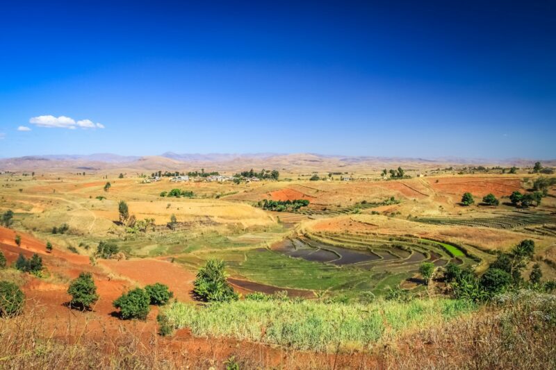 Ricefields of Madagascar