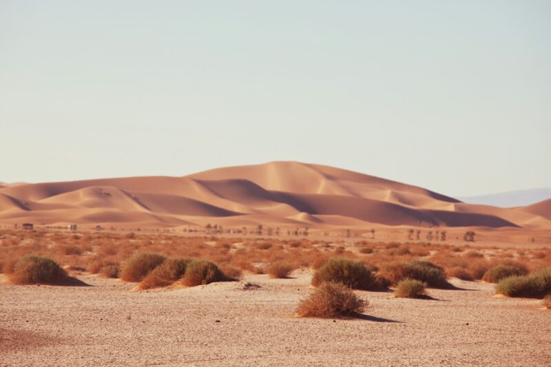 Sahara desert