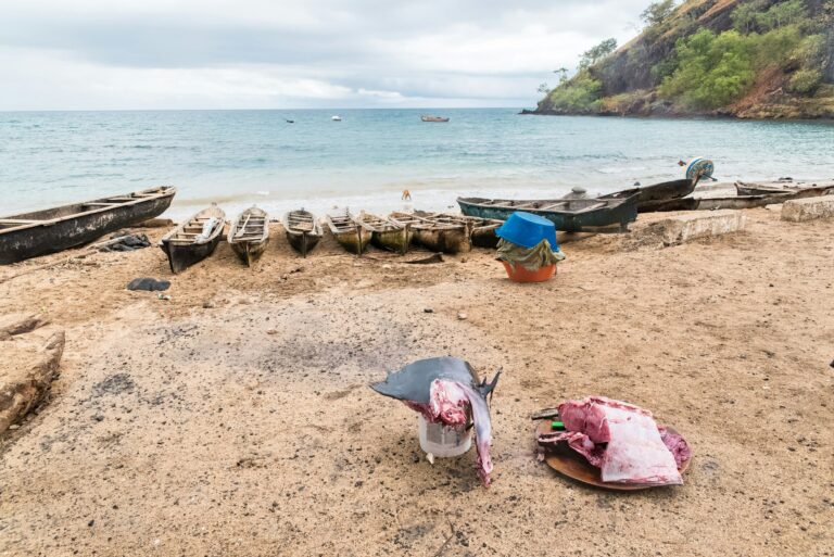 Sao Tome, traditional dugouts