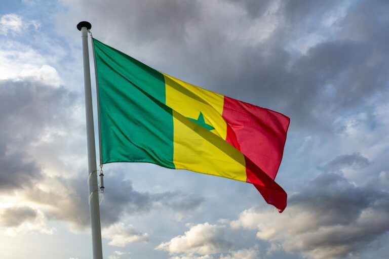 Senegal flag waving against cloudy sky