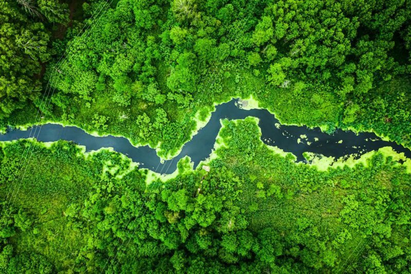 Stunning green forest and the river in spring, flying above