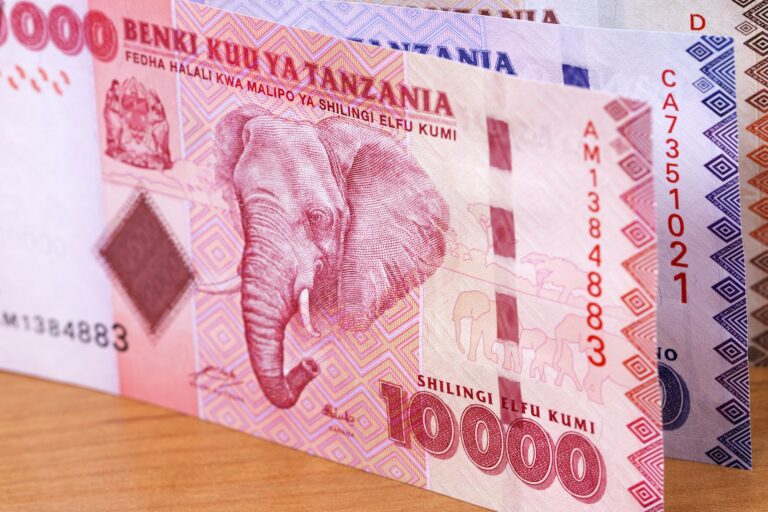 Tanzanian money a business background