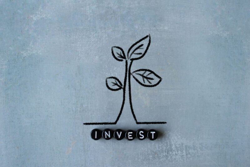 Top view image of text INVEST and drawing of growing tree plant with copy space.