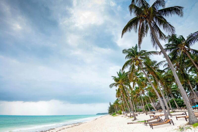 Tropical coast, sunbeds and palm trees in Tanzania. Beach holiday concept