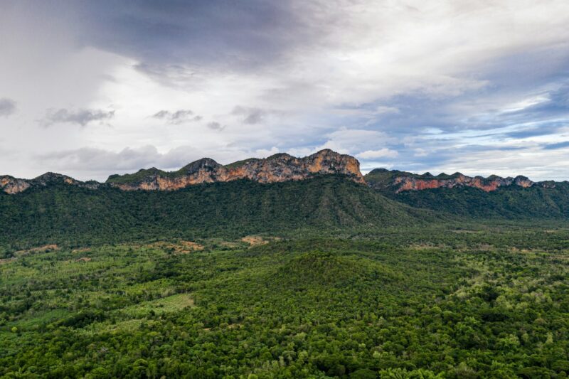 Tropical rainforest with mountain and blue sky in national park