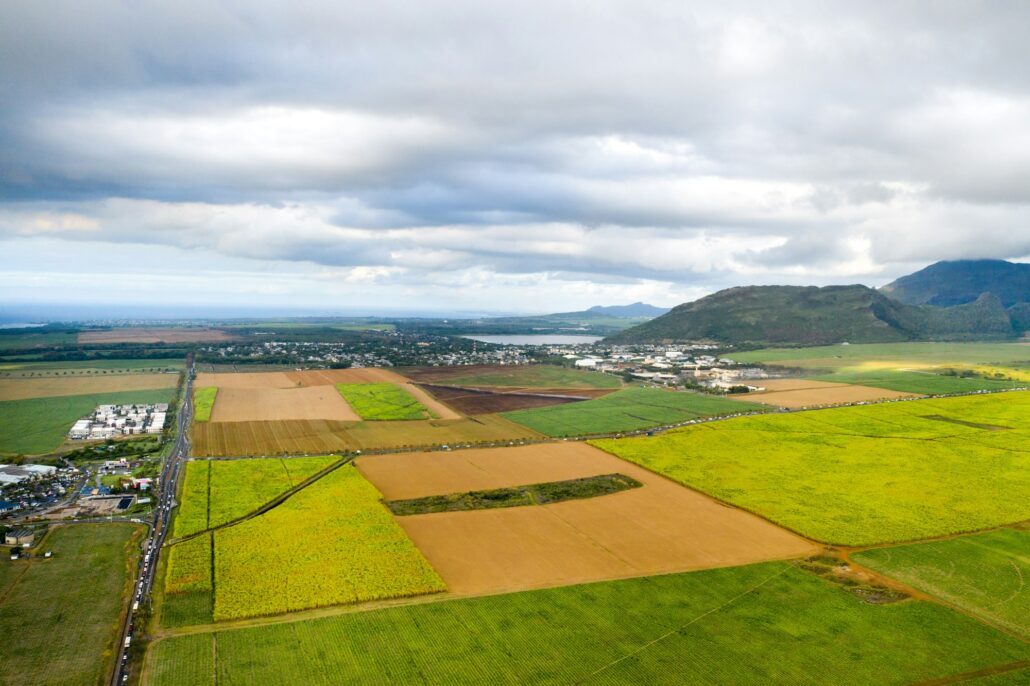 View from the height of the sown fields located on the island of Mauritius